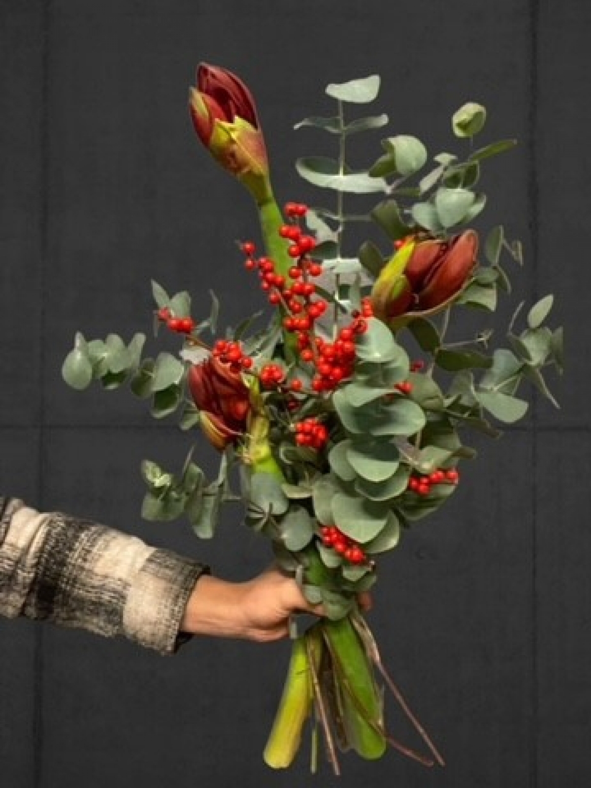Amaryllis boeket in het rood met eucalipthus 